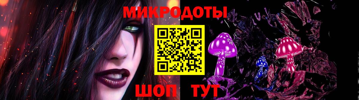 Псилоцибиновые грибы Cubensis Томск