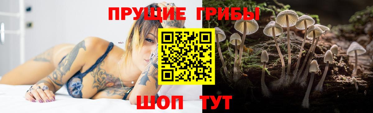 Томск  Псилоцибиновые грибы мухоморы  Галлюциногенные грибы Cubensis  Вход с VPN 